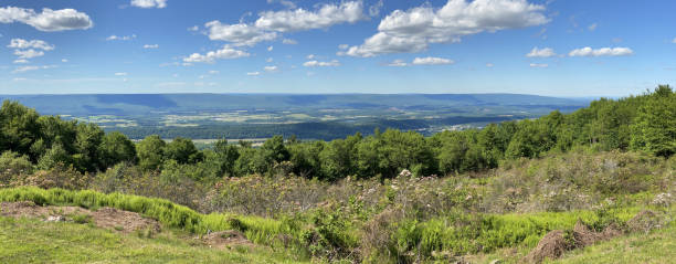 clarks summit