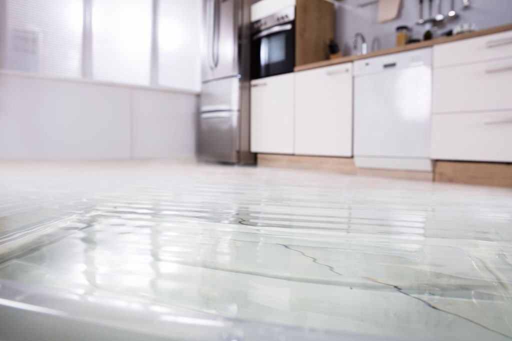 Wet Floor RestoPro Image