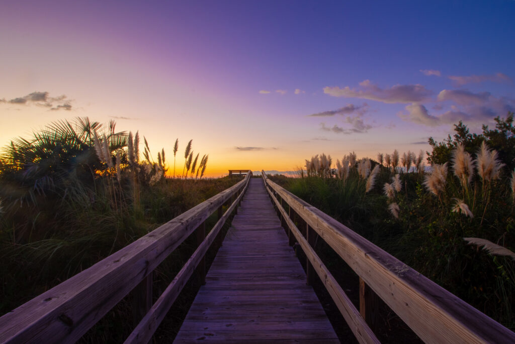 Isle of Palms Image