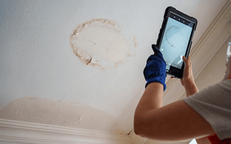 mold damage