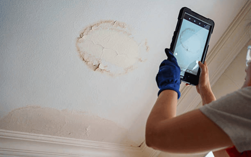 mold damage