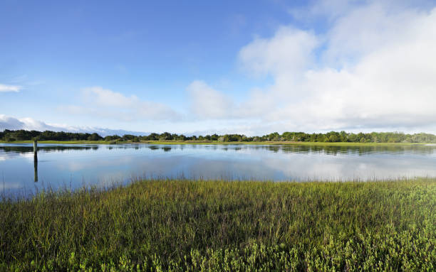 Coastal marsh on Taylor's Creek in Beaufort NC with Carrot Island in the distance