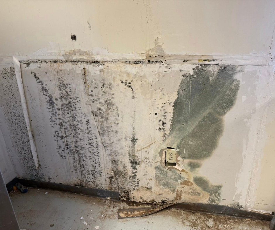 plainview water damage