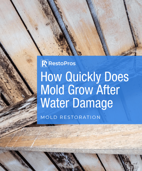 A blog title that reads how quickly does mold grow after water damage overlaid over an image of moldy wood slats.