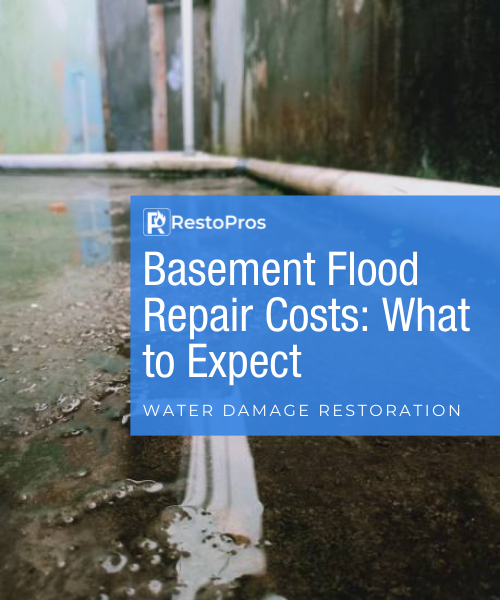 basement flood costs
