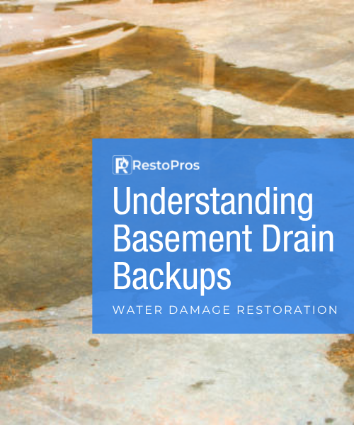 basement drain backing up