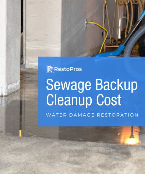 sewage backup cleanup cost