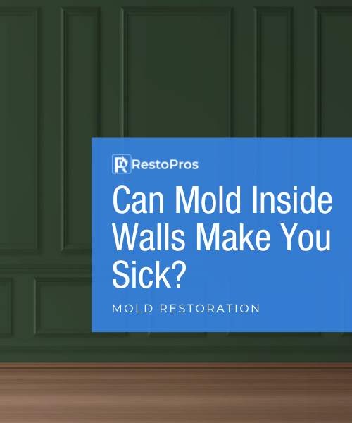 Can Mold Inside Walls Make You Sick