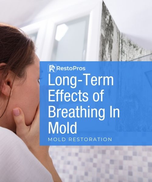RestoPros: Long-Term Effects of Breathing in Mold - Mold Restoration