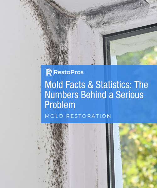 blog banner: Mold Facts & Statistics: The Numbers Behind a Serious Problem