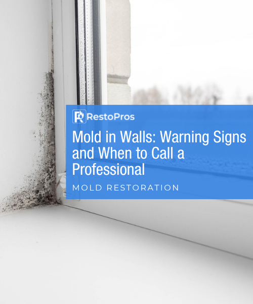 Blog Banner: Mold in Walls: Warnings Signs and When to Call a Professional