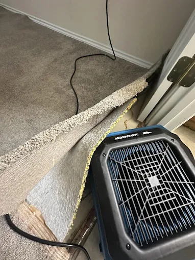 Carpet being treated for water damage