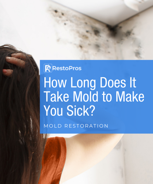 Blog Banner Image: How Long Does It Take Mold to Make You Sick?