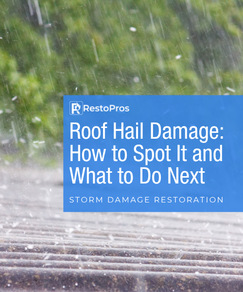 Blog Banner: Roof Hail Damage: How to Spot It and What to Do Next