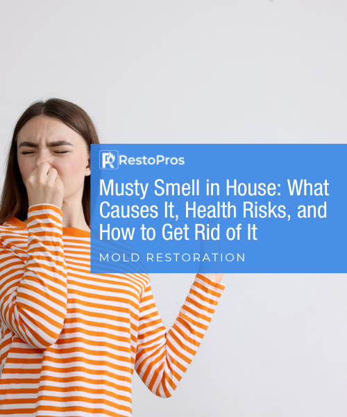 Blog Banner: Musty Smell in House: What Causes It, Health Risks, and How to Get Rid of It