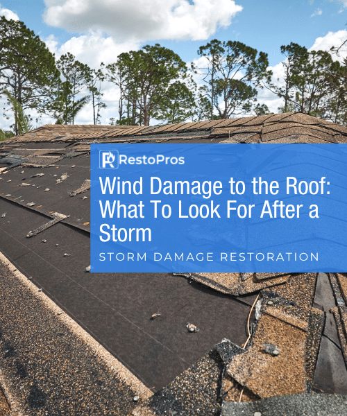 wind damage blog banner