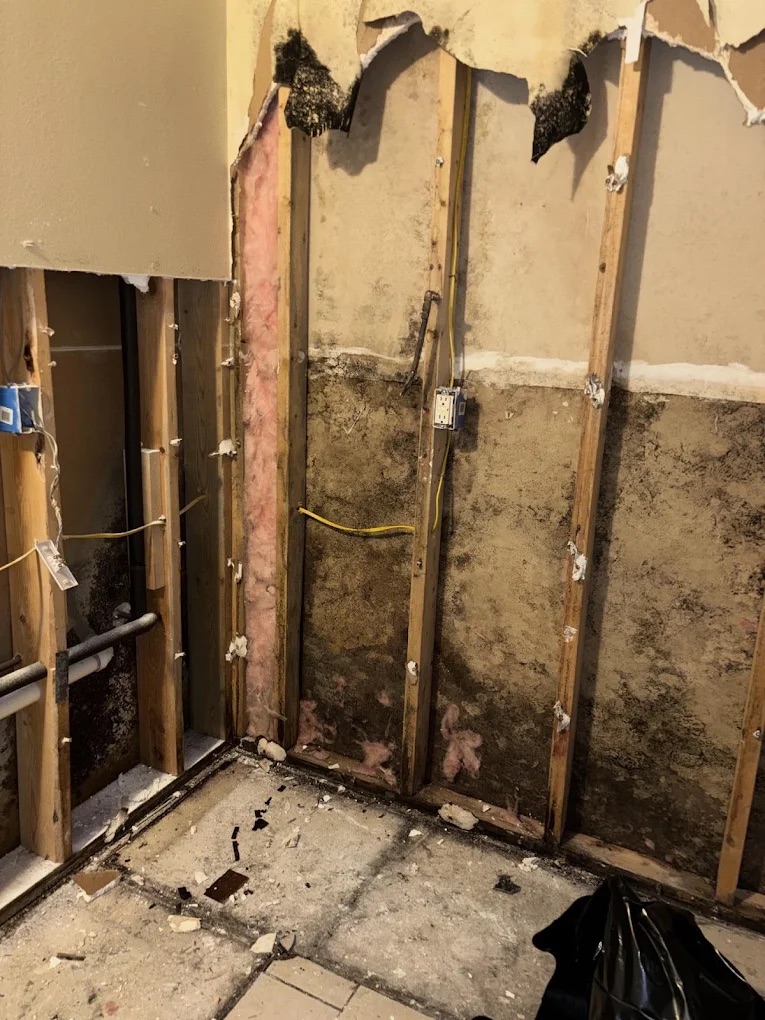 Water damaged wall