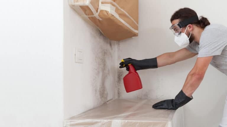 Man worker spraying product on wall to remove mold, wearing protective gloves and a respirator mask, using a spray bottle. Remediation of moldy wall before house painting at home renovation site