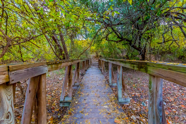 A Secluded Wooden Walkway Through the Woods in the Cibolo Creek Park, Texas.