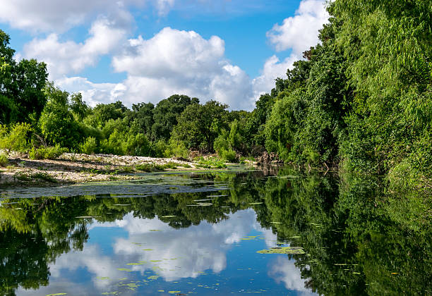 Clouds and trees reflecting in the water of a river