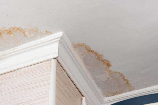 henderson water damage