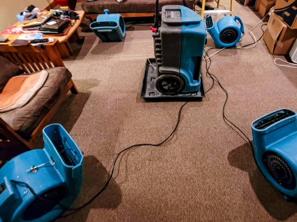 lindale water damage