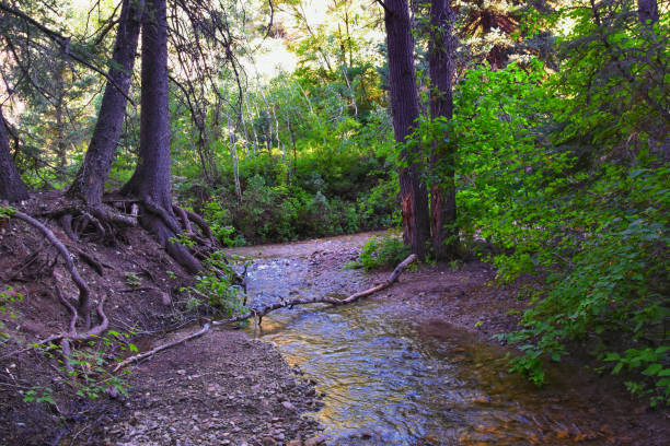 millcreek
