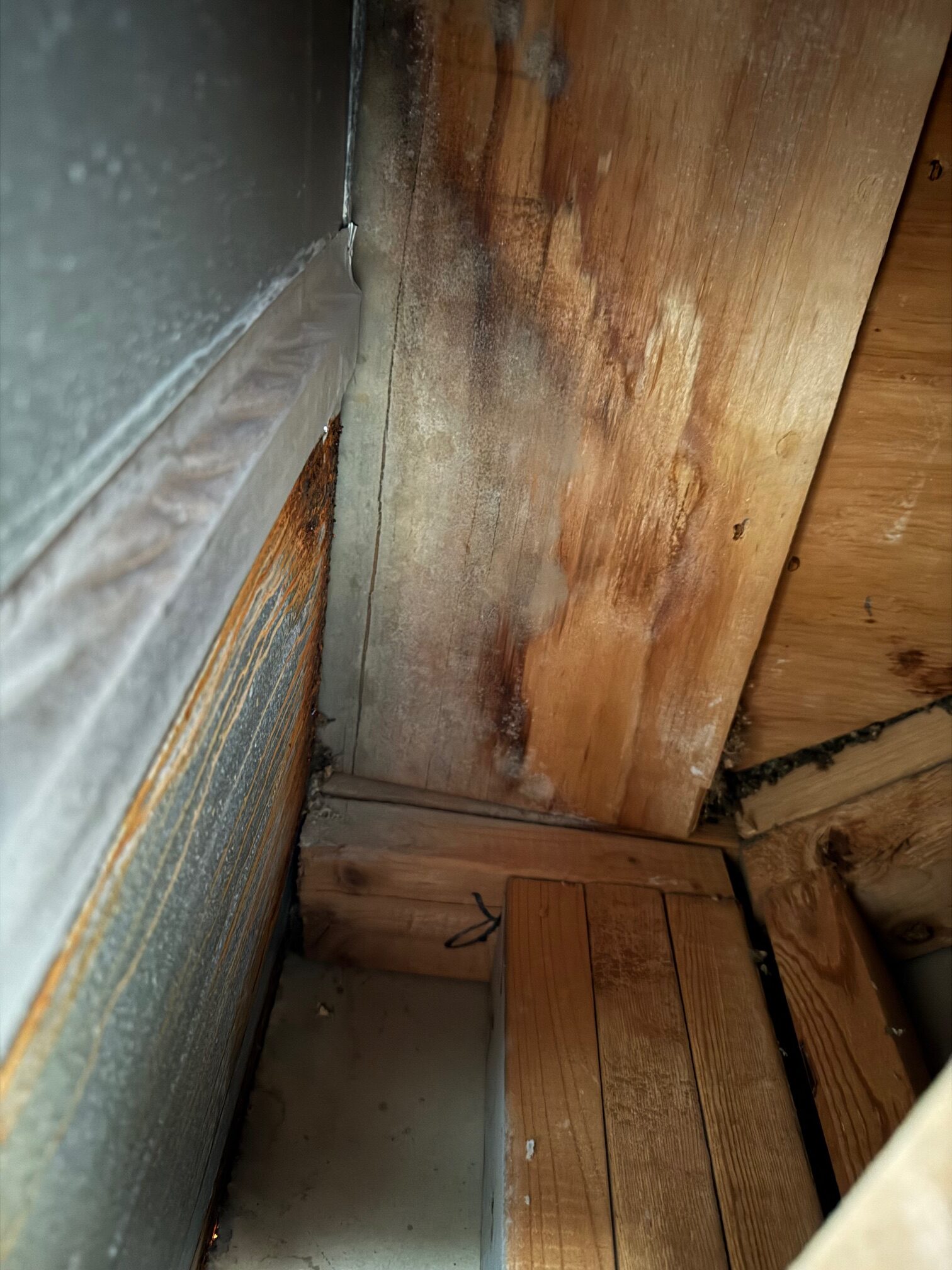 water damage on wood