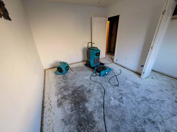 water damage