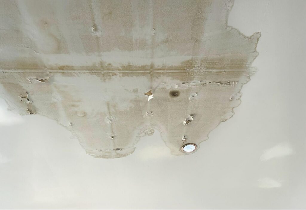 water damage puget sound