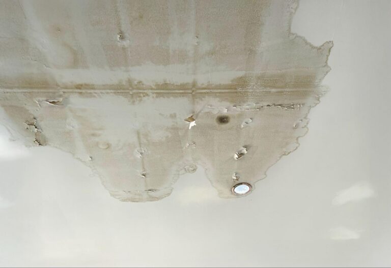 water damage puget sound