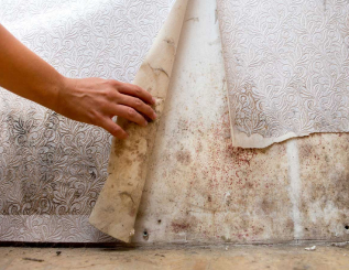 photo of mold damage under floors