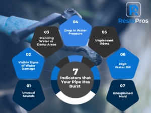 indicators that your pipe has burst