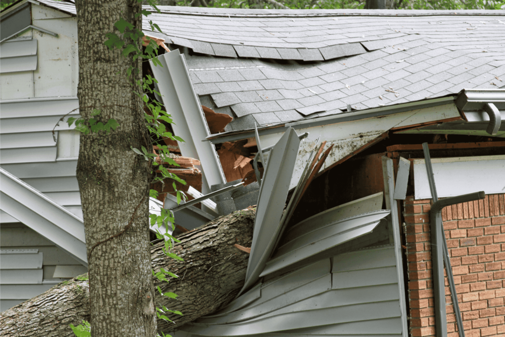 tree fallen on roof