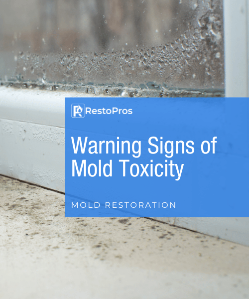 An image of mold with a blog title that reads "warning sings of mold toxicity"
