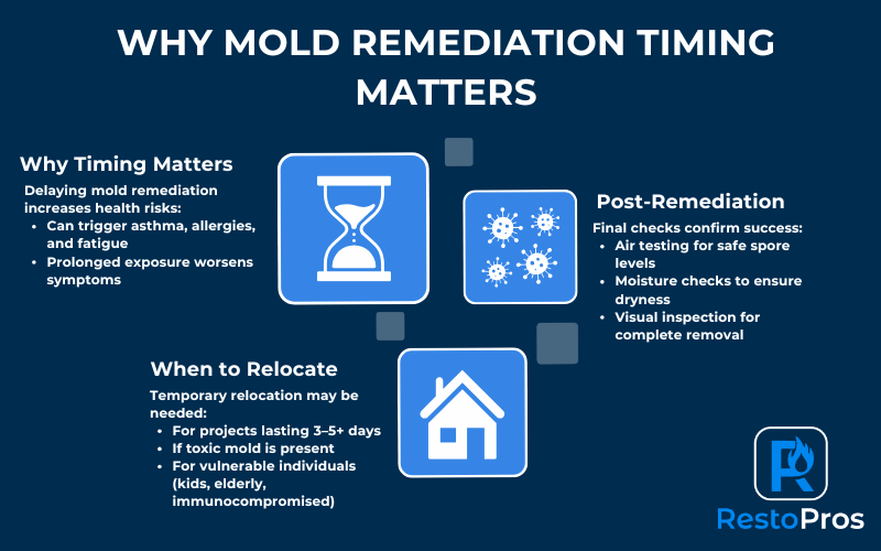 An infographic by RestoRros explaining why mold remediation timing matters