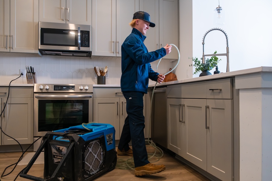 A professional mold removal expert