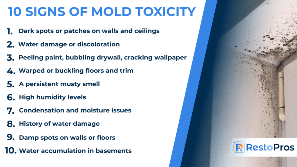 10 signs of mold toxicity