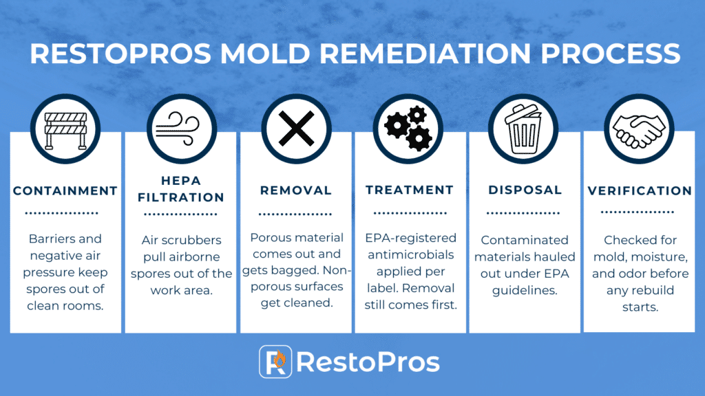 restoration mold remediation process