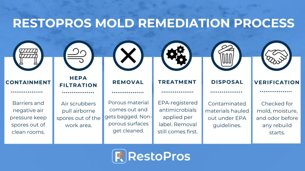 restoration mold remediation process