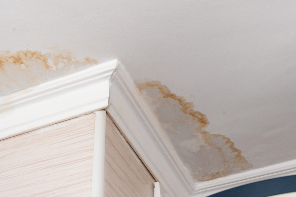 water-damaged ceiling, close-up of a stain on the ceiling.