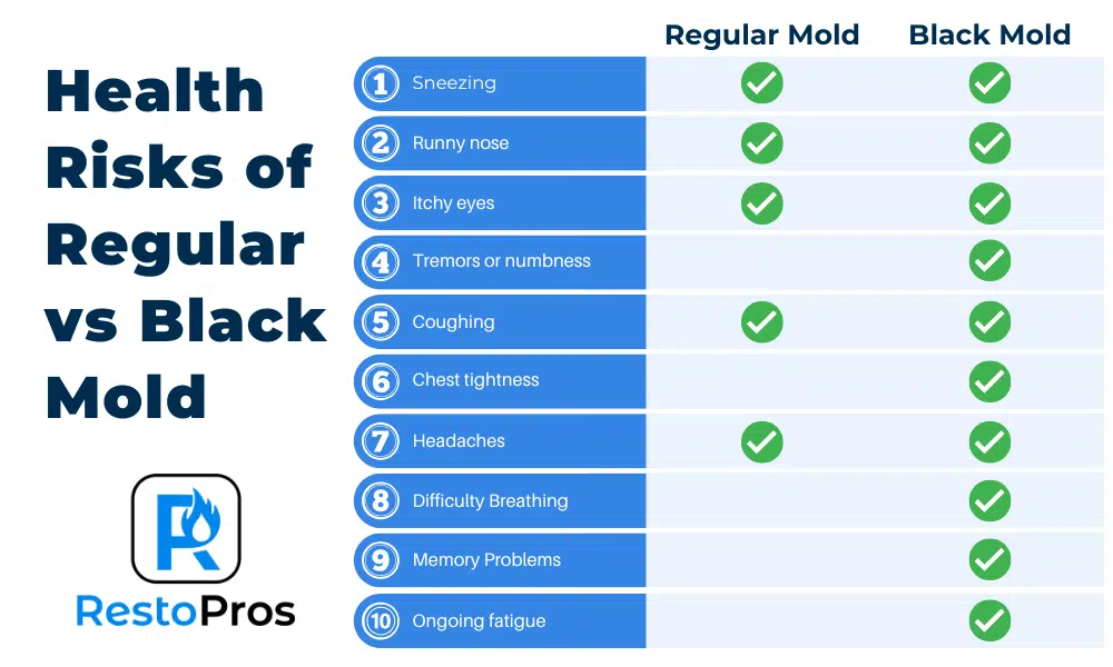 health risks of regular vs black mold
