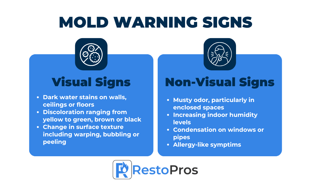 An infographic by RestoPros explaining visual and non visual signs of mold growth
