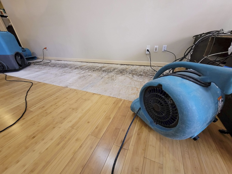 Air mover and a dehumidifier in place to dry a floor