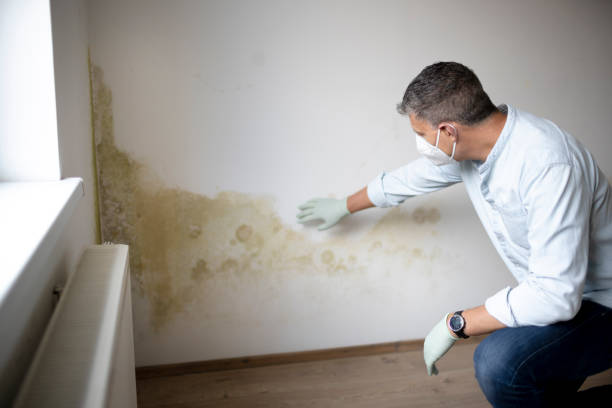 basement restoration