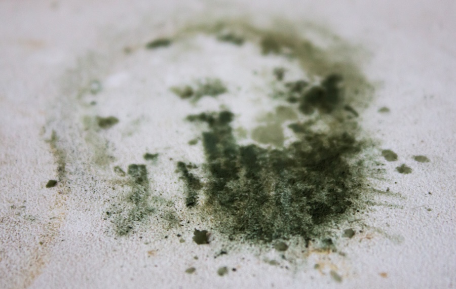 Green Patches Of Mold And dirty, moldy surface