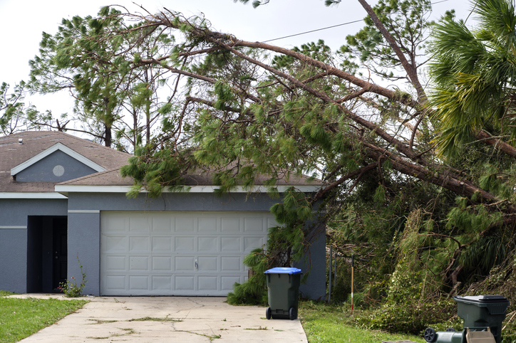 Fallen down big tree on a house after hurricane Ian in Florida. Consequences of natural disaster.