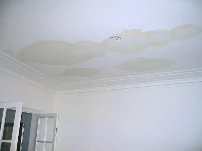 Ceiling leak and electric cables.