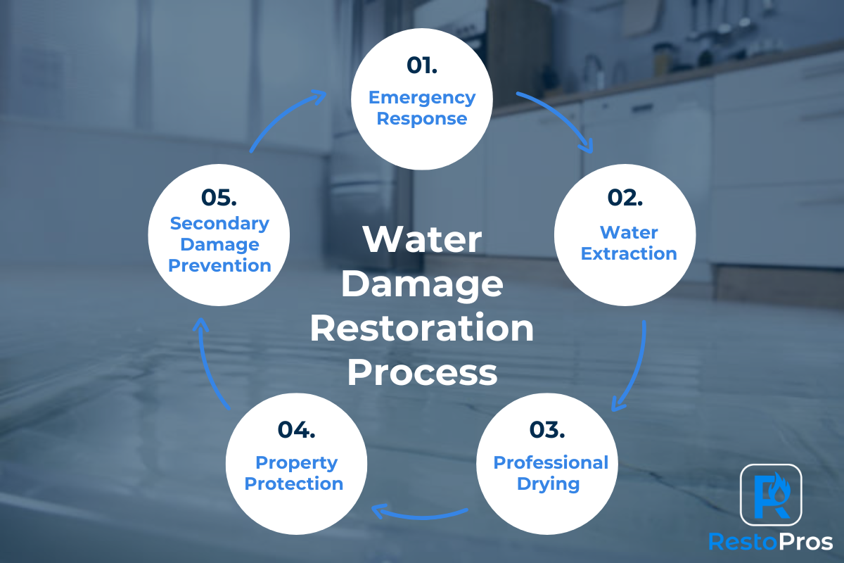 what is water damage restoration blog infographic