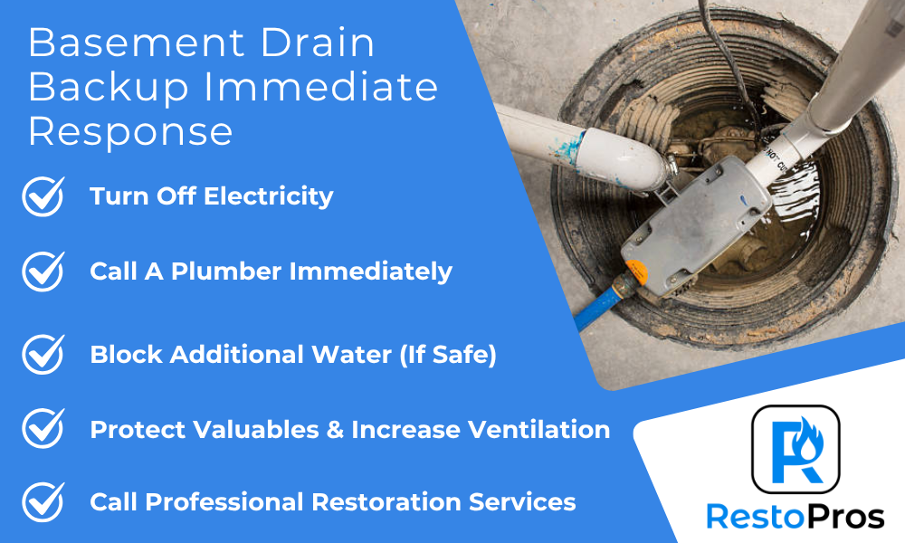 basement drain backing up